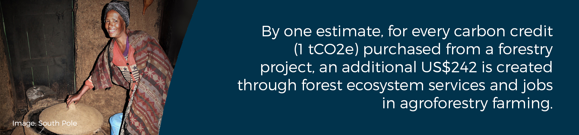 Banner - "By one estimate, for every carbon credit (1 tCO2e) purchased from a forestry project, an additional US$242 is created through forest ecosystem services and jobs in agroforestry farming"
