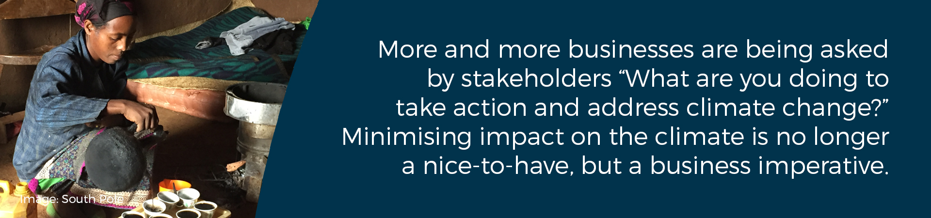 Banner - "More and more businesses are being asked by stakeholders 'what are you doing to take action and address climate change?' Minimising impact on the climate is no longer a nice-to-have, but a business imperative."