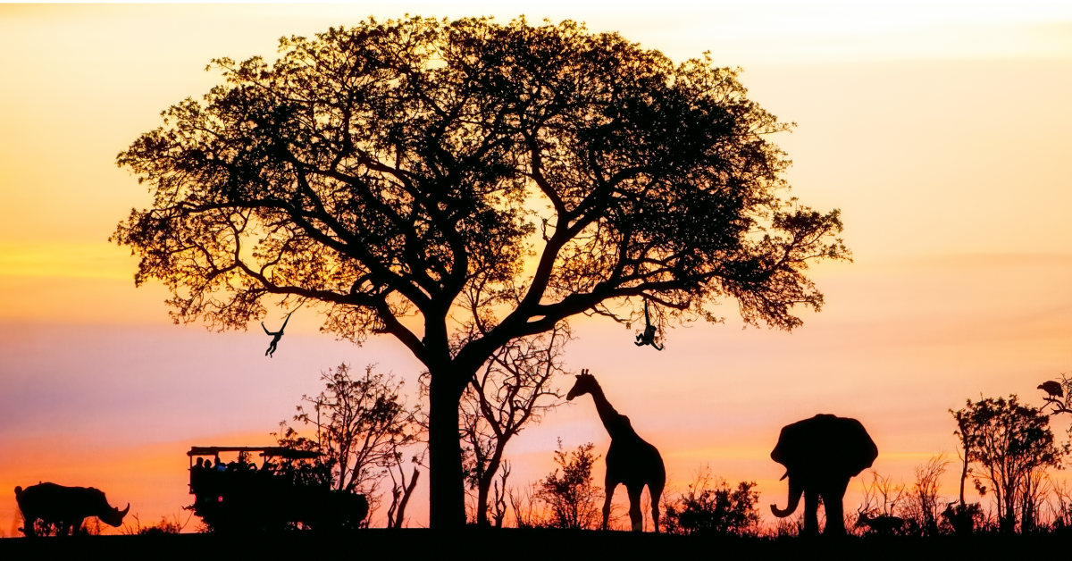 World Tourism Day 2020