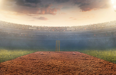 Cricket pitch in a stadium